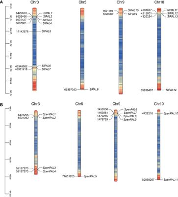 Genome-wide identification and expression analyses of phenylalanine ammonia-lyase gene family members from tomato (Solanum lycopersicum) reveal their role in root-knot nematode infection